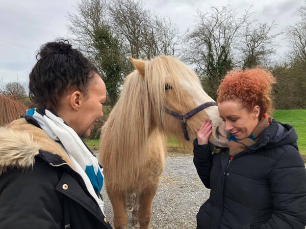 equine one to one therapy