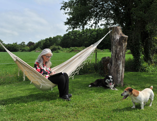 equine therapy cork