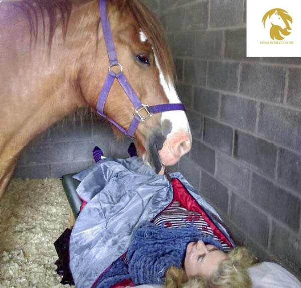 equine therapy retreats