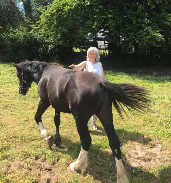 equine therapy