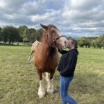 equine therapy retreats