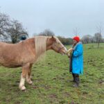 equine therapy retreats