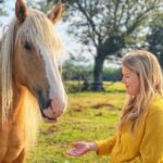 equine therapy retreats
